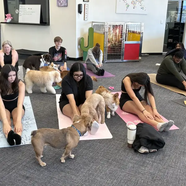 Puppy yoga event at K9 Rox Club Las Vegas